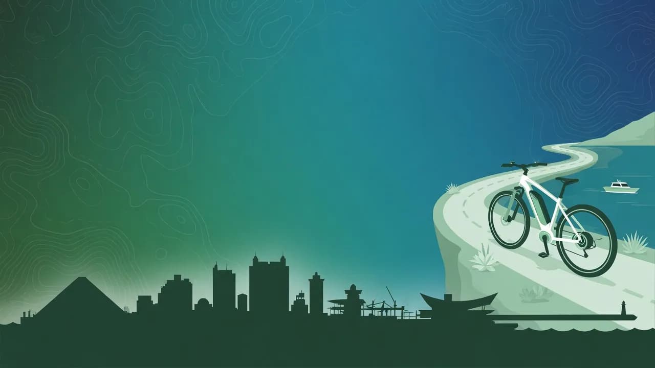 Port Elizabeth dynamic illustration