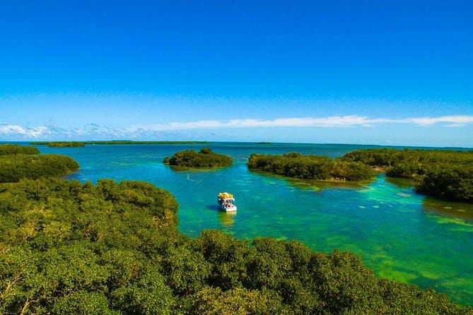 Kayak + Guided Snorkel & Morning Sail hosted by Honest Eco