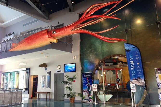 Bermuda Underwater Exploration Institute and Aquarium Adventure Day