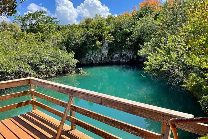 Tom Moores Jungle and Eco Tour