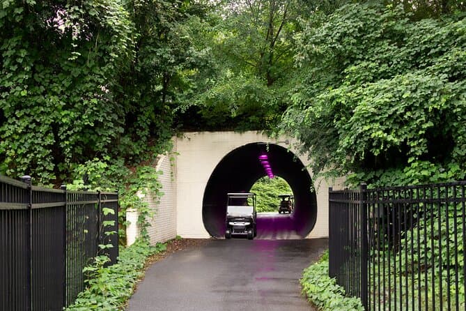 Magical Golf Cart Tour Through Peachtree City Trails