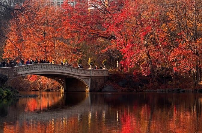 Discover Central Park Tour on Pedicab