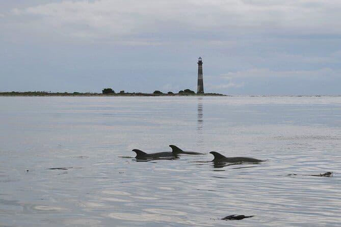Charleston Eco Boat Cruise with stop at Morris Island Lighthouse