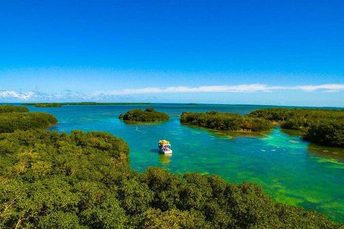 Kayak + Guided Snorkel & Morning Sail hosted by Honest Eco