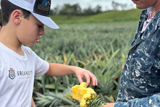 Private Pineapple Farm Tour on 4 wheels (For couples Only)