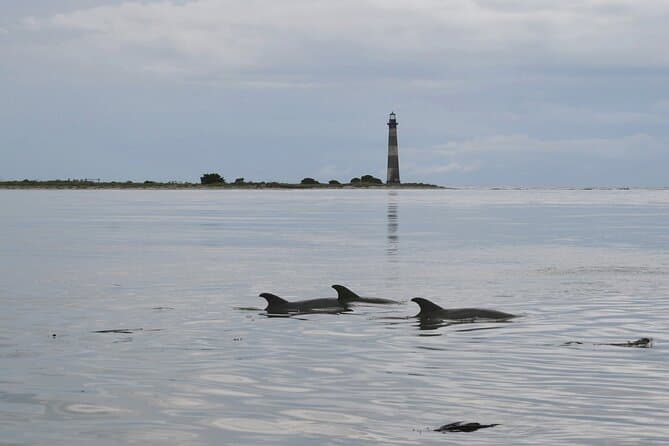 Charleston Eco Boat Cruise with stop at Morris Island Lighthouse